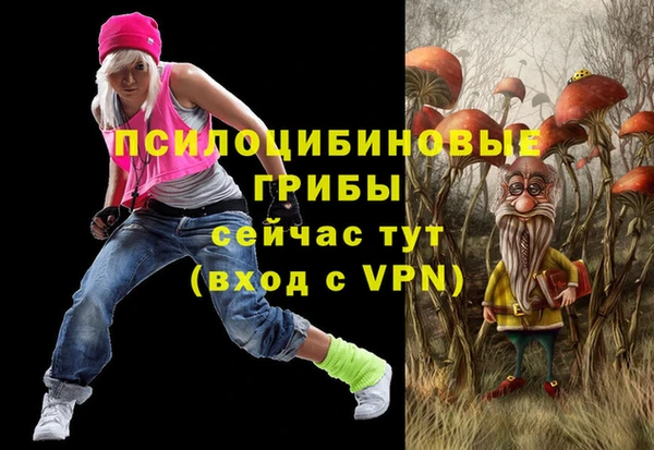 молекула духа Нея