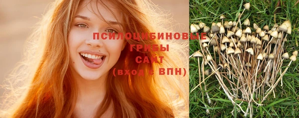 2c-b Дубовка