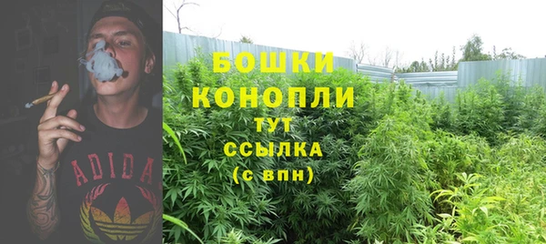 мдпв Нефтегорск