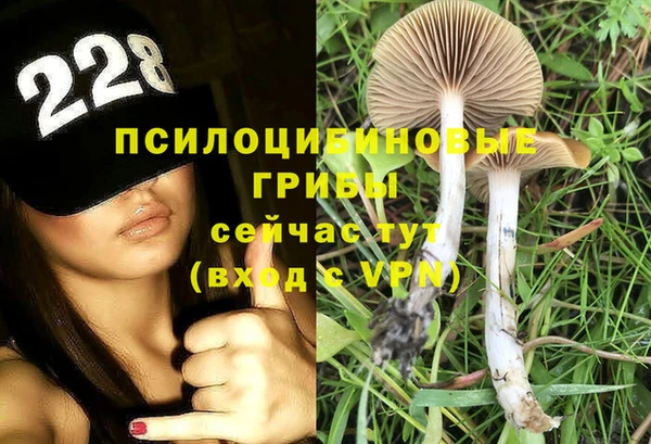 молекула духа Нея