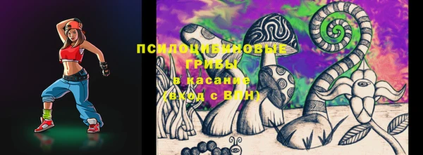 соль ск Нефтекумск