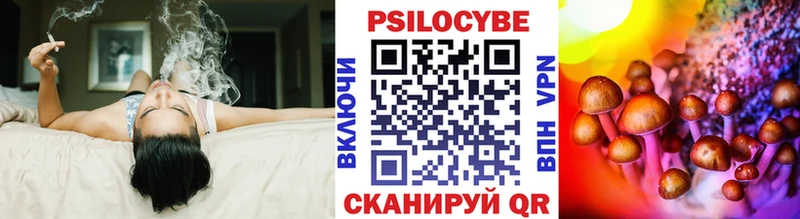 Псилоцибиновые грибы мицелий Кингисепп