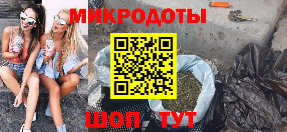 Псилоцибиновые грибы Psilocybine cubensis Кингисепп