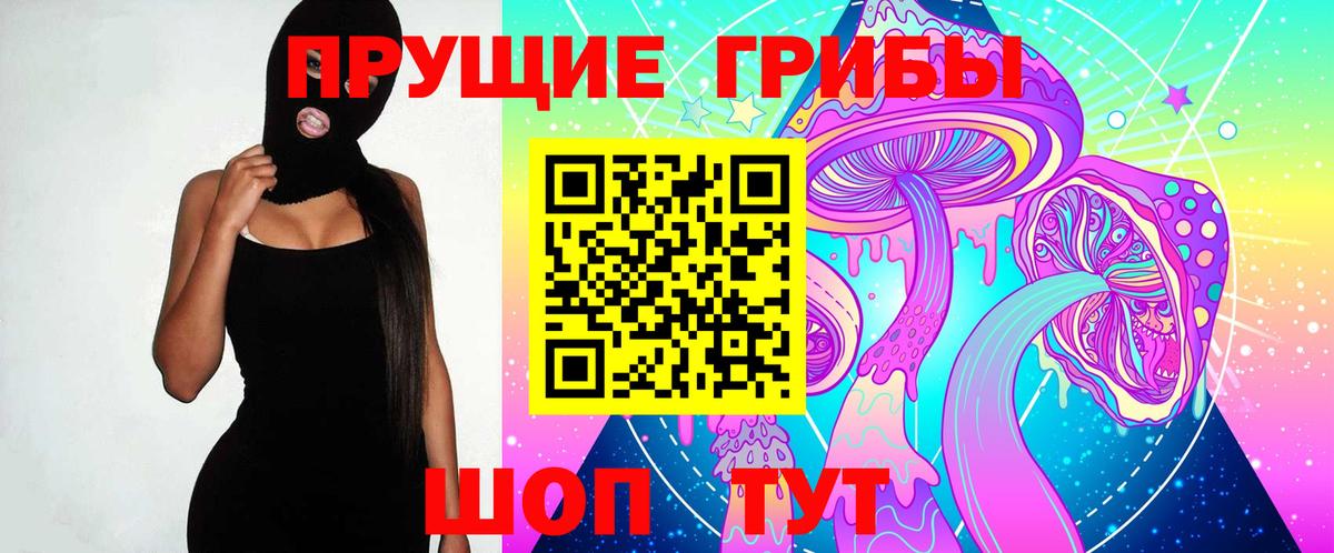 Кингисепп  Галлюциногенные грибы Psilocybine cubensis  как найти закладки  Вход с VPN 
